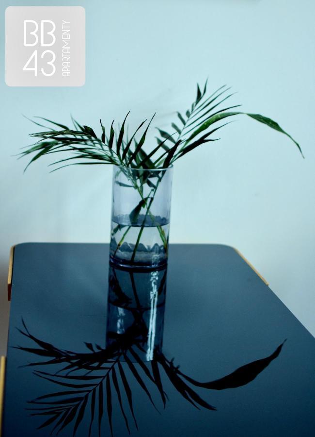 Apartamenty Bb43 Bielsko-Biała Esterno foto